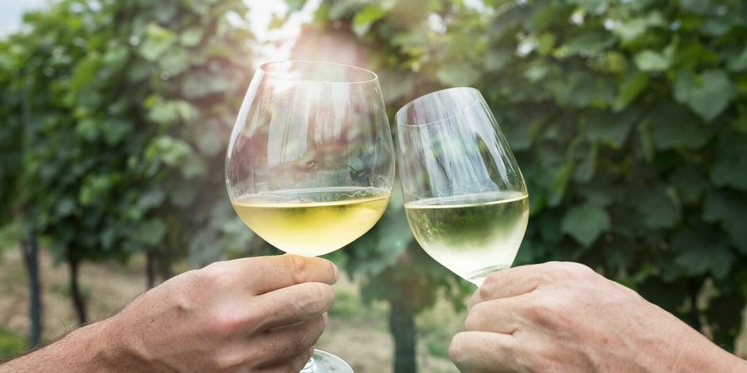 csm_OeWM_Manuel-Zauner_anstossen-web_89172e09db